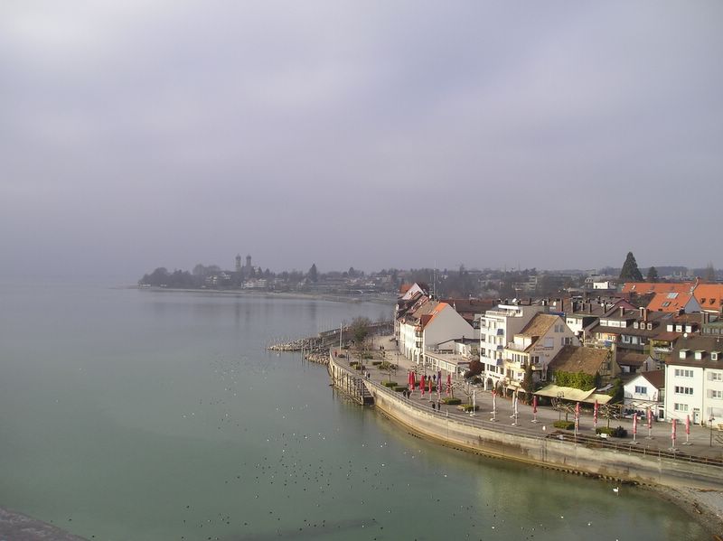 The coastline on Bodensee (large)