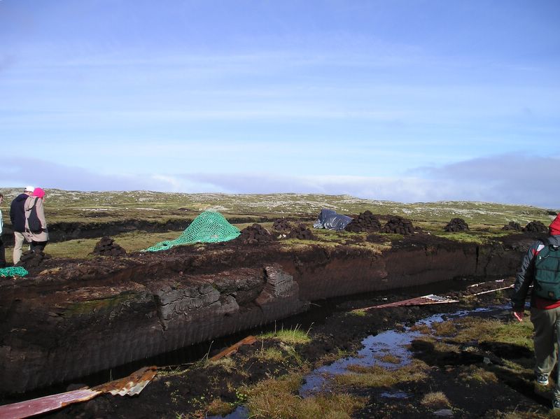 Peat farming in the bog (large)