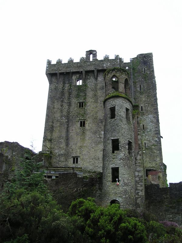 Tower and castle (large)