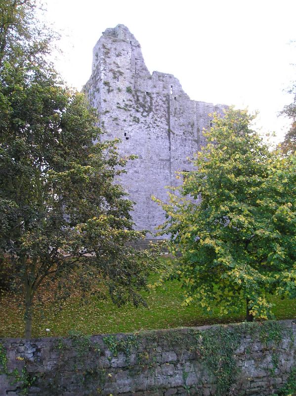 Maynooth Castle (large)