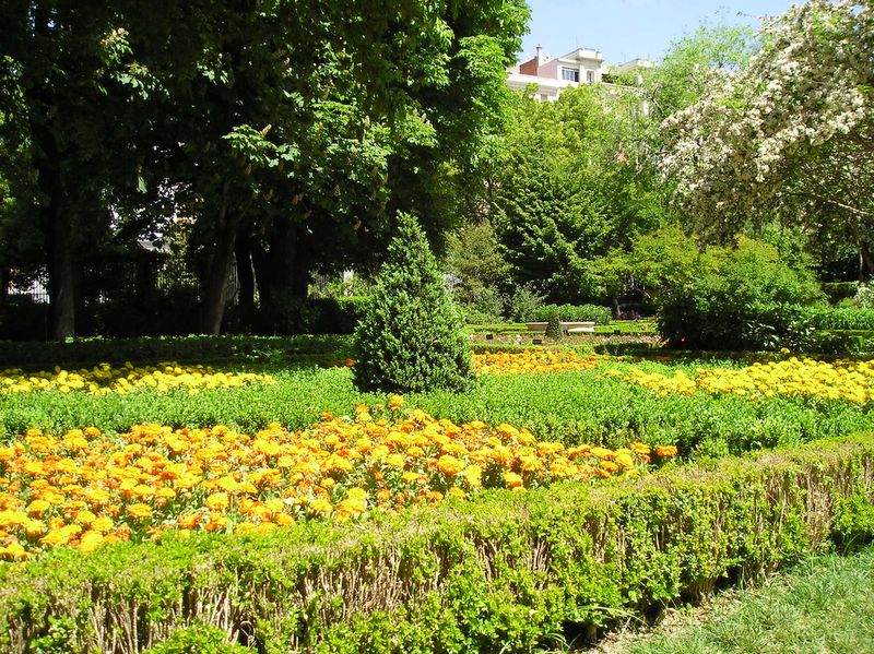 Inside Real Jardín Botánico (large)