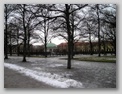 The Hofgarten