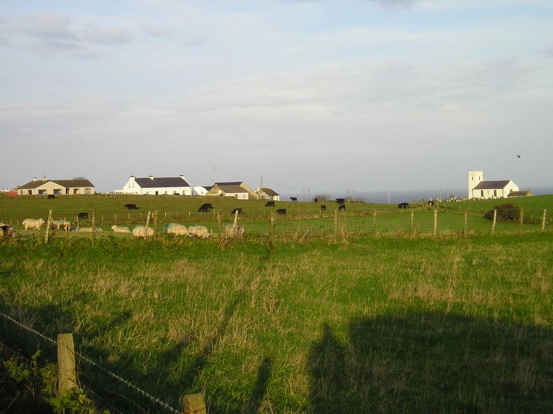Sheep, cows, fields, houses, and the sea (large)