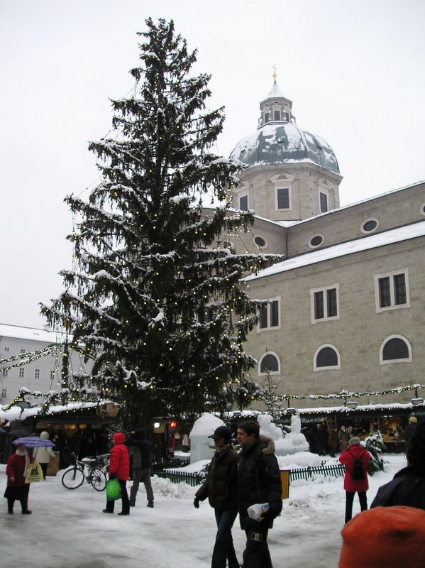 Christmas tree and markets (large)