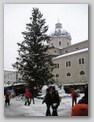 Christmas tree and markets